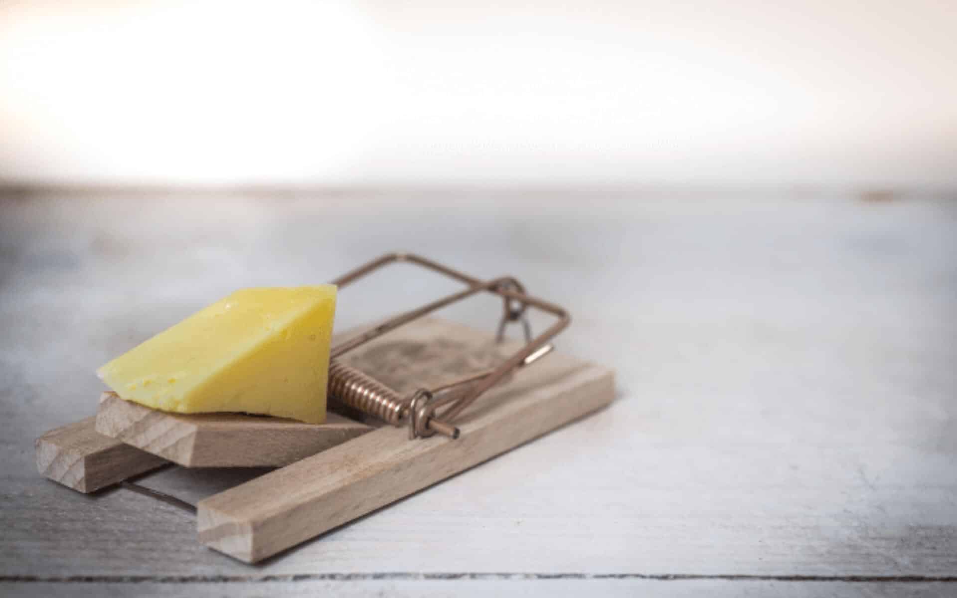 A classical mouse trap with a large piece of cheese sits on a wood floor